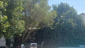 A backyard with a swimming pool, a brick patio, and a hedge. - 7the Heaven Guest unit
Perfect over night stay in the winelands of paarl. (Paarl)
