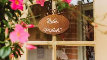 Detalle del exterior