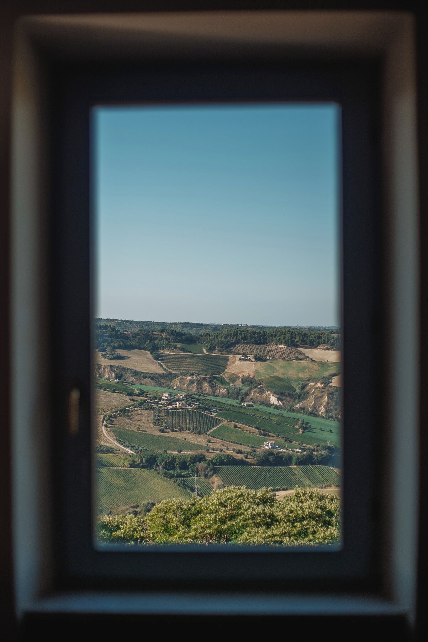 Zimmer, Gartenblick | Ausblick vom Zimmer