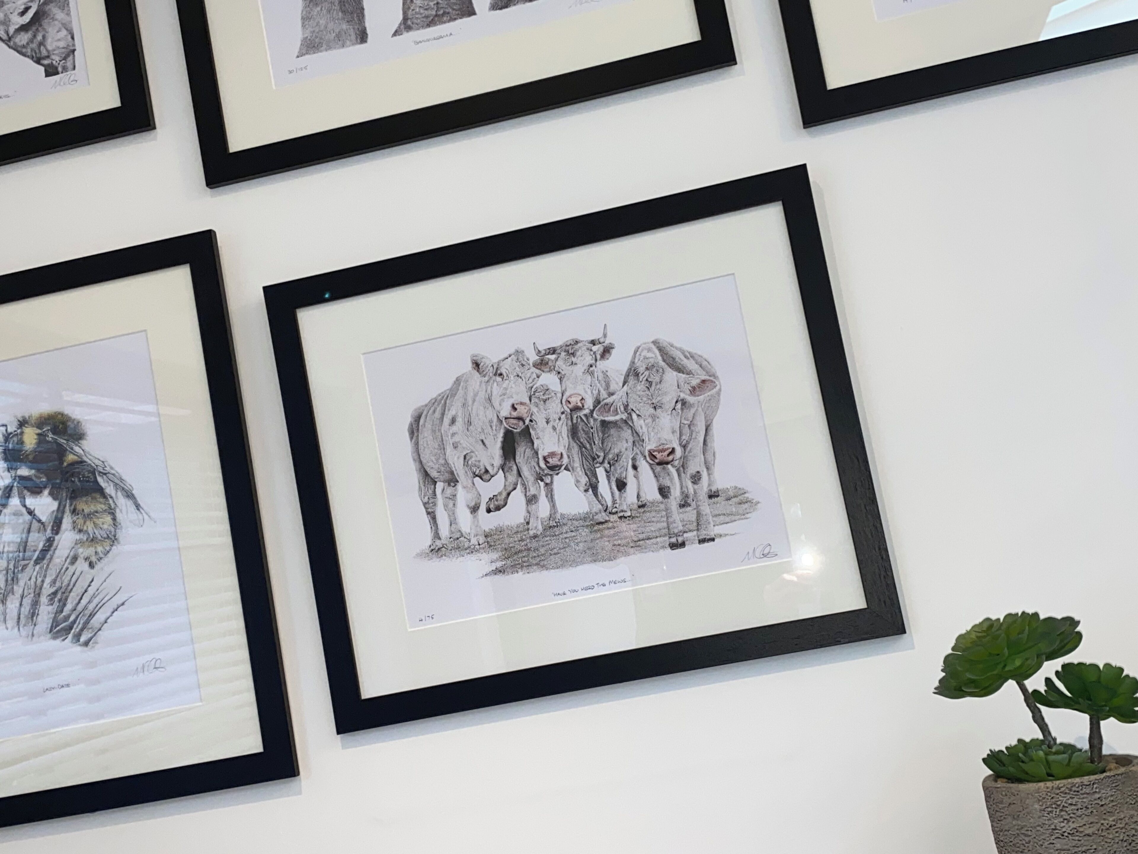 Eine Wand mit mehreren gerahmten Kunstwerken, darunter eine Zeichnung von Kühen und einem Vogel.