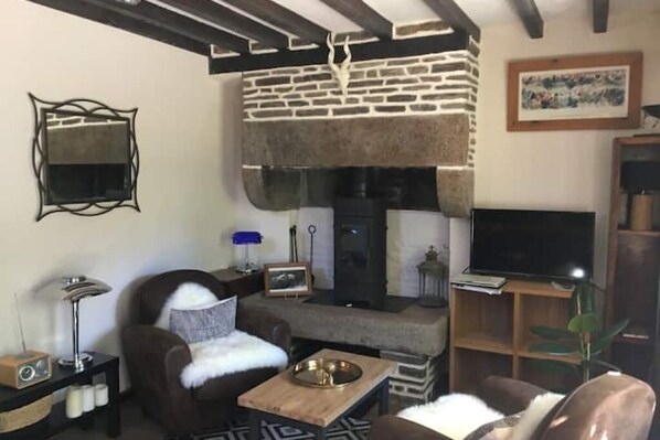 Télévision, cheminée, livres