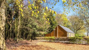 A wooden cabin with a sloped roof, surrounded by a forested area with leaf-covered ground.