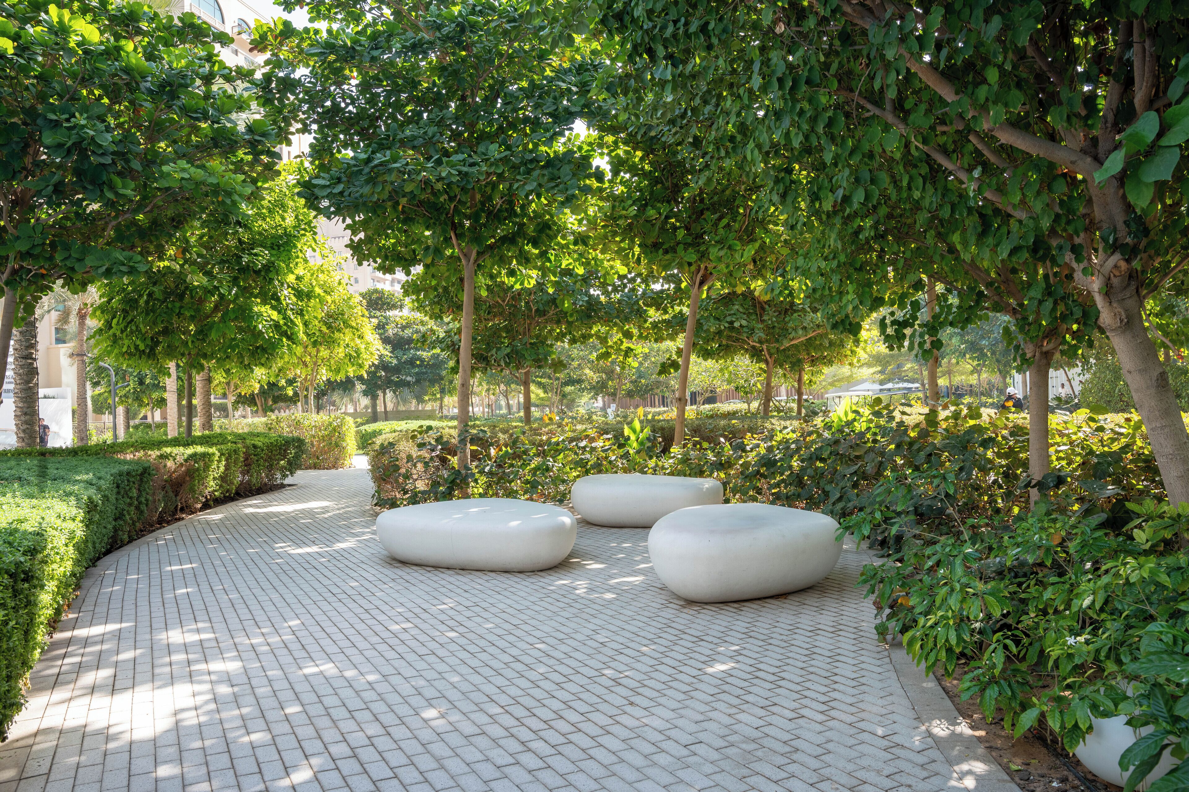 Studio Deluxe | Enceinte de l’hébergement