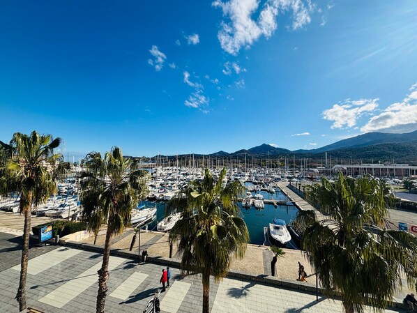Ein Yachthafen mit vertäuten Booten, Palmen und blauem Himmel.