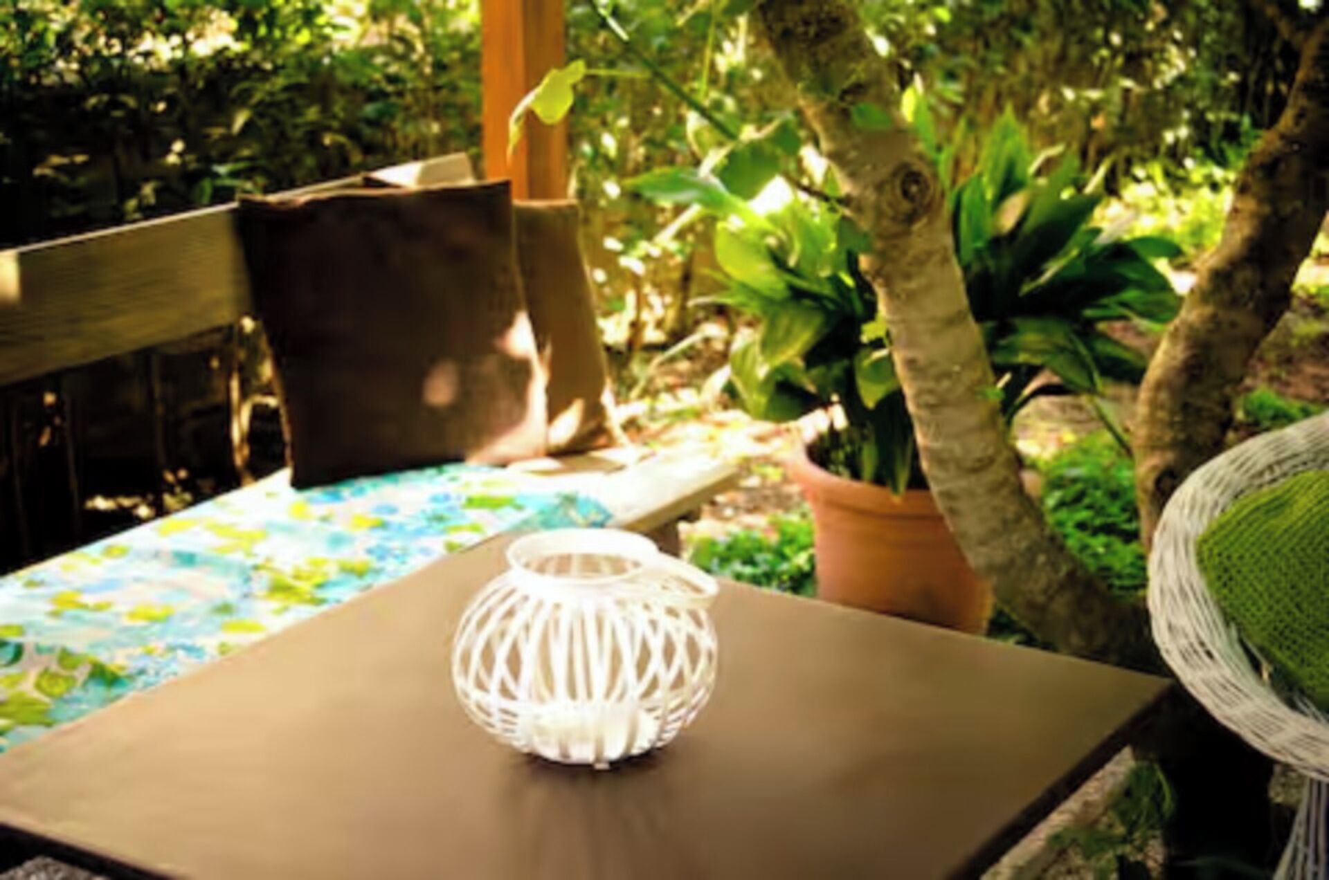 A table with a woven lantern, a bench, and a potted plant in a garden setting.