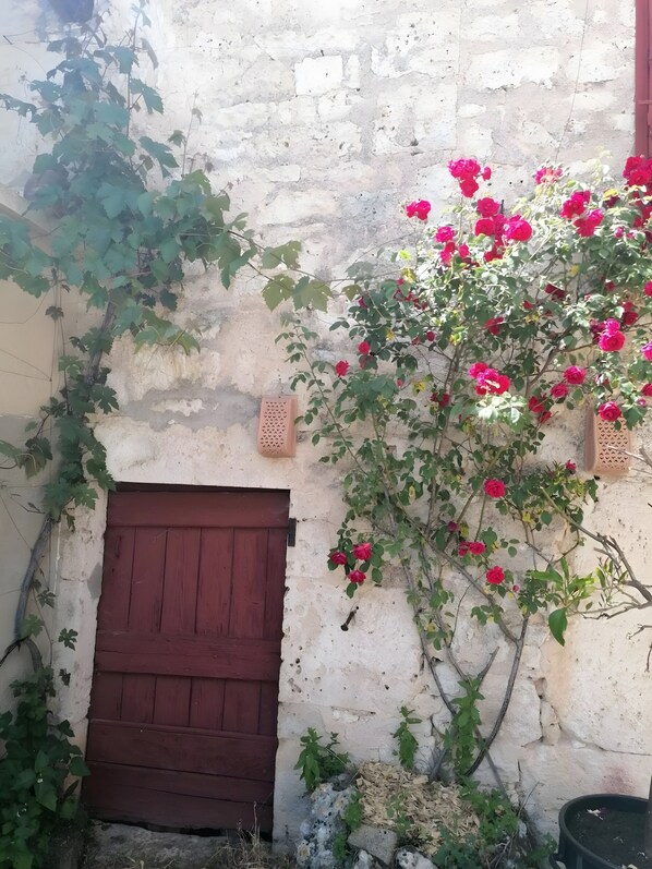 Un edificio rústico con puerta de madera, una lámpara en la pared y una planta con flores.