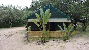 Standard Tent, Patio, Garden View | Property grounds