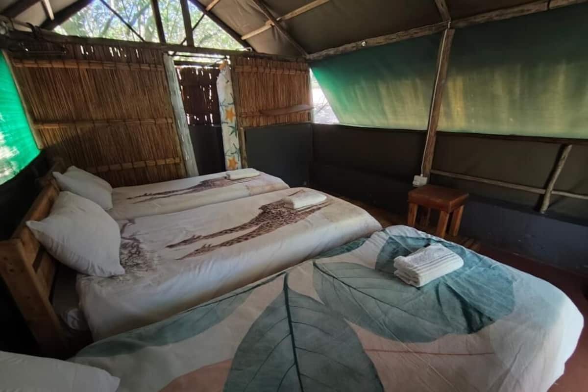 Standard-Zelt, Terrasse, Gartenblick