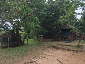 Property grounds - Amangwane Tented Camp (Manguzi)