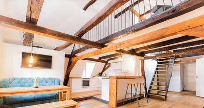 Alte Schmiede Fulda - charmantes Fachwerk-LOFT in historischem Gemäuer