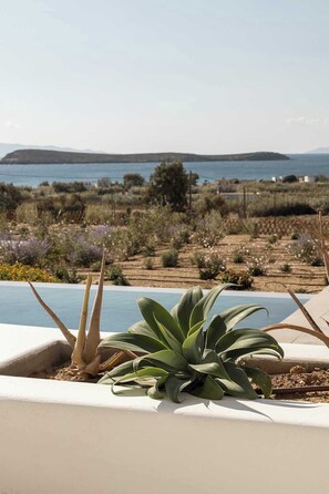 Property grounds - Golden View Villas Paros, Villa Rodi (Chrisi Akti, Paros)