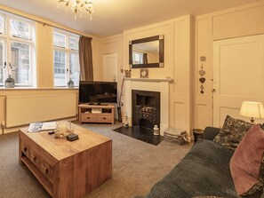TV - Robins Nest by Interhome (Whitby)