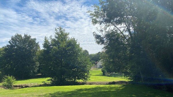 Property grounds - Le Hameau de Céline (Landes-le-Gaulois)