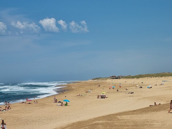 Beach - Apartment t2 54 m2 in seignosse. For up to 5 people. (Seignosse)