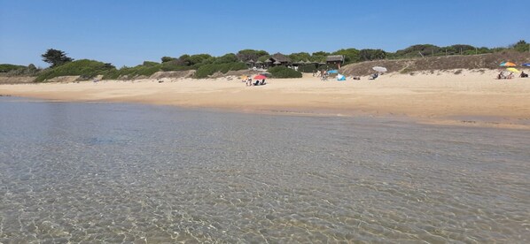 Strand