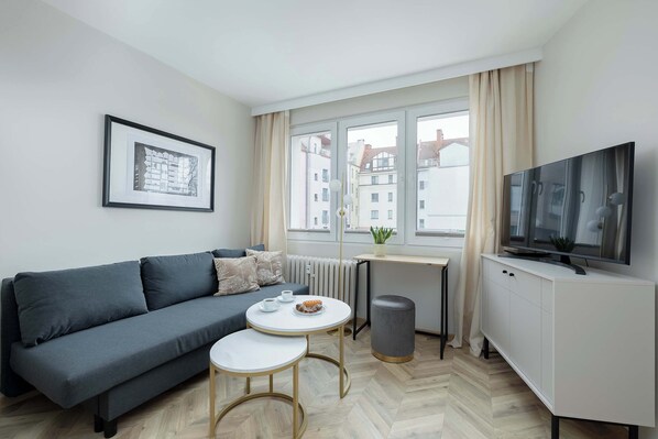 Fernseher, Arbeitsbereiche