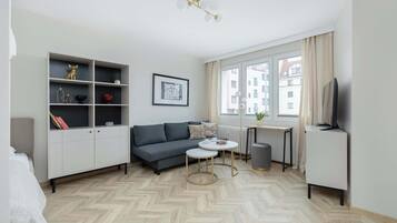 Fernseher, Arbeitsbereiche