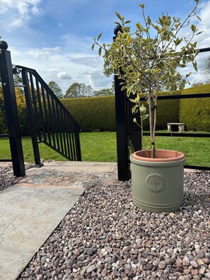 Área da propriedade