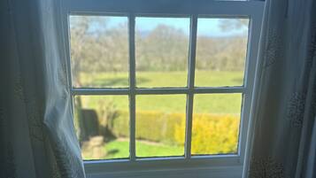A window with a view of a green field and trees.