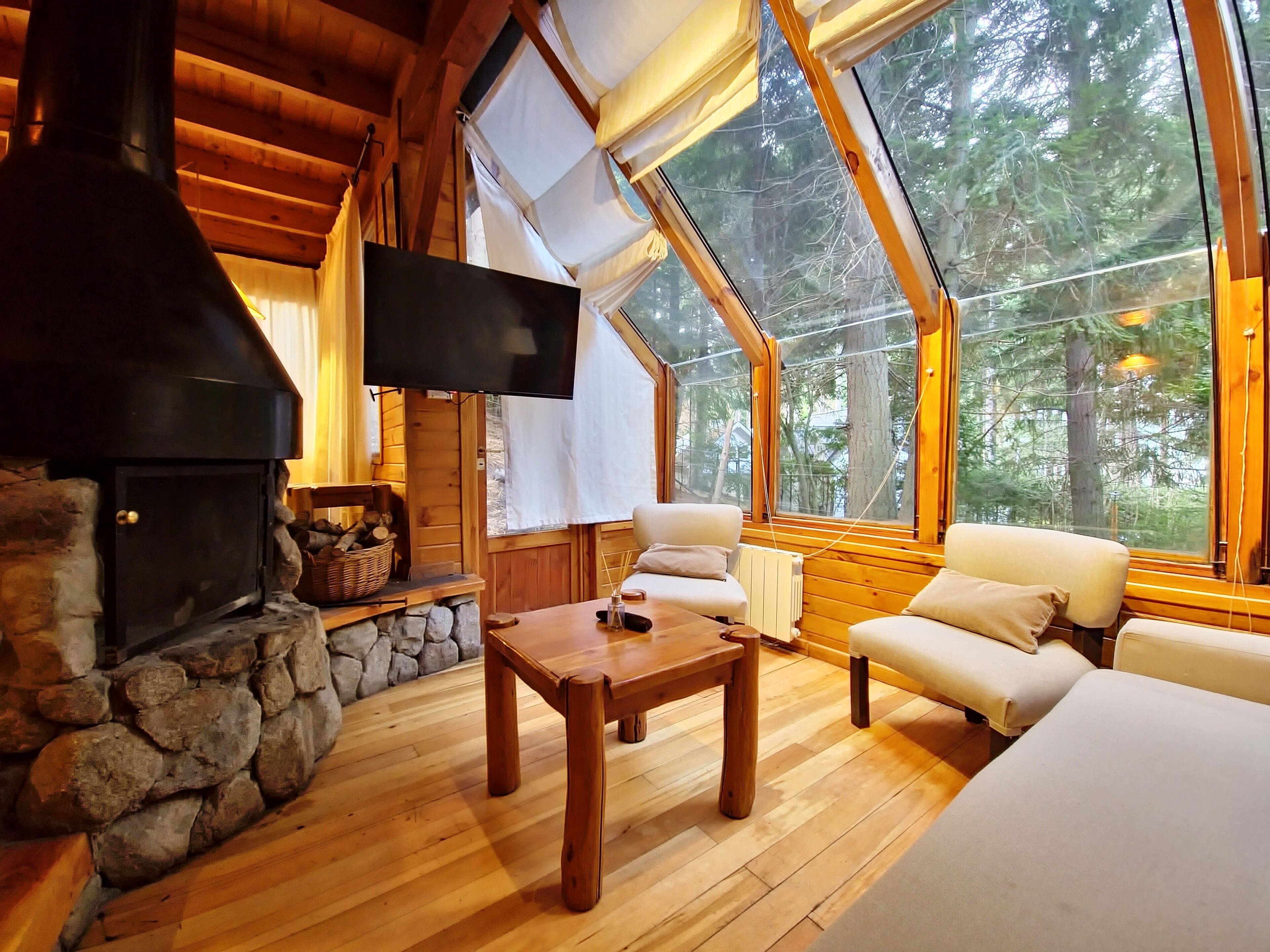 Panoramic Cabin, Resort View | Living area | 43-inch Smart TV with digital channels