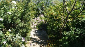 Een tuinpad omzoomd door weelderige begroeiing en diverse bloeiende planten.