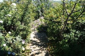 Ein Gartenpfad, umgeben von dichtem Grün und verschiedenen blühenden Pflanzen.