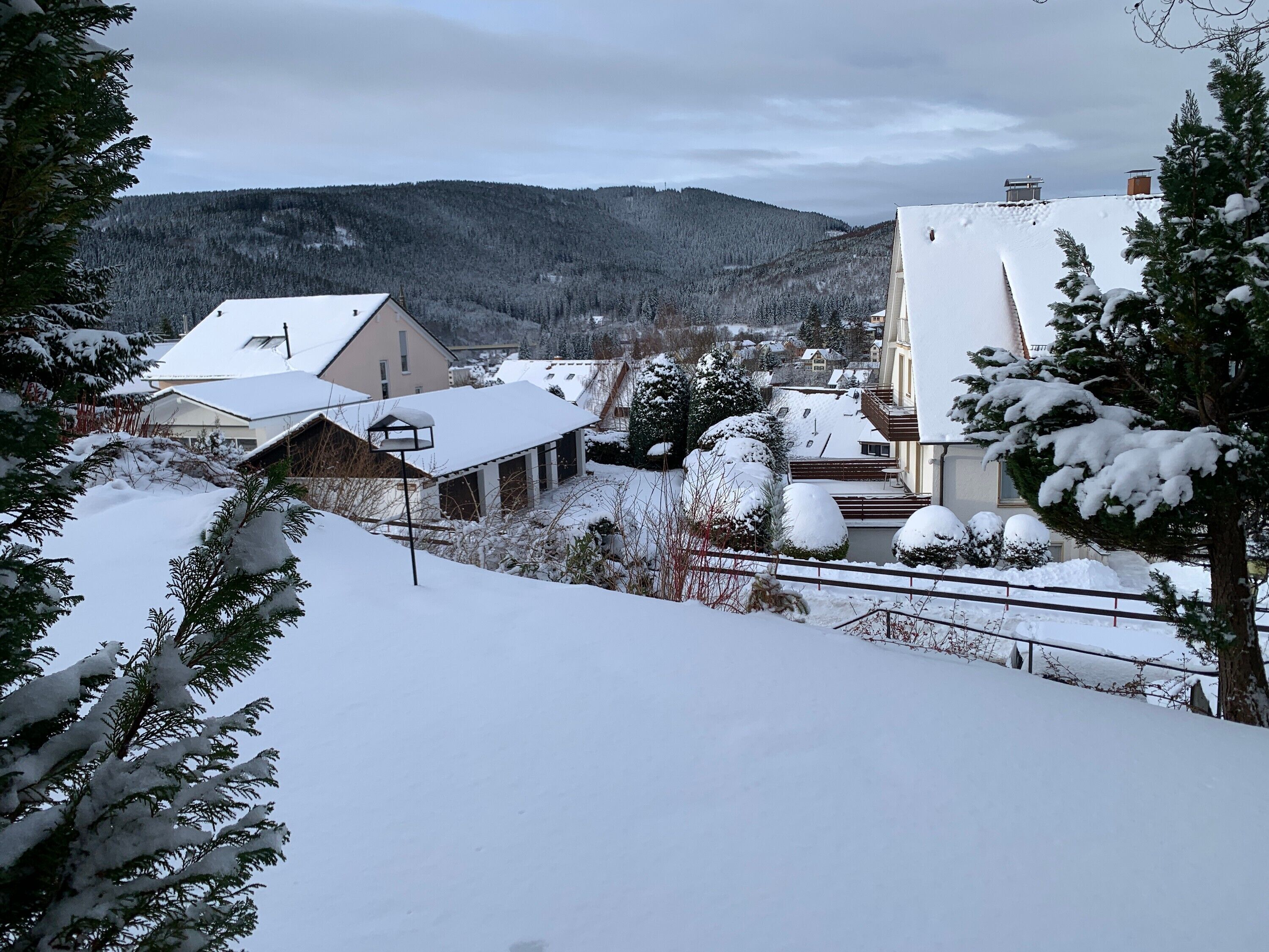 Terrain de l’hébergement 