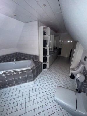 Shower, hair dryer, bidet, towels