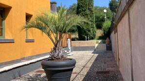 Un sendero estrecho con una planta en maceta, un edificio amarillo y un árbol alto al fondo.