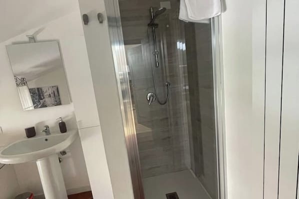 Shower, hair dryer, bidet, towels