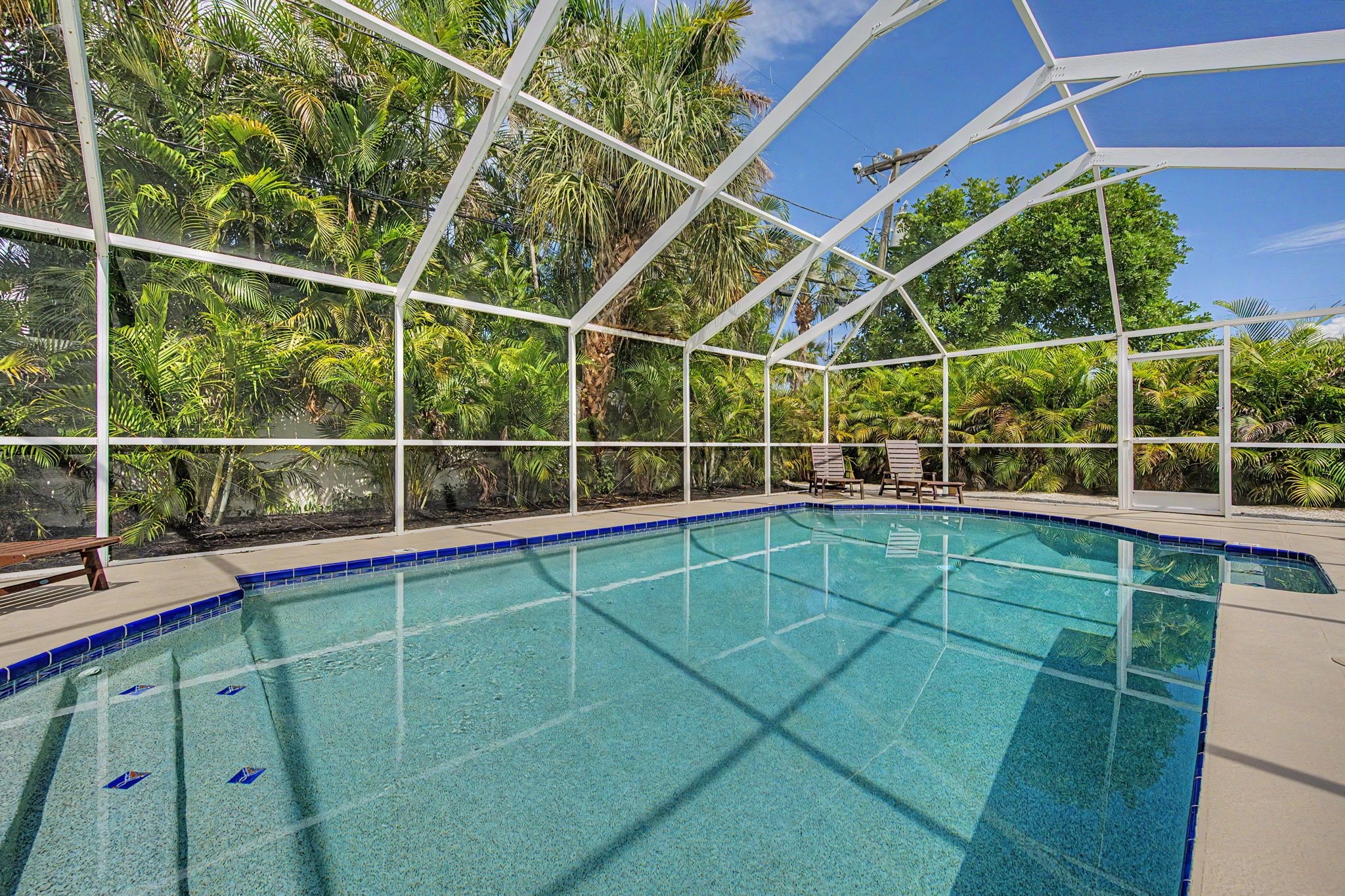 A clear blue pool with a white frame and palm trees in the background.