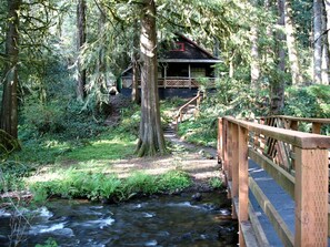 Property grounds - Secluded Forest Cabin in Rhododendron near Mt Hood Village in Oregon (Rhododendron)