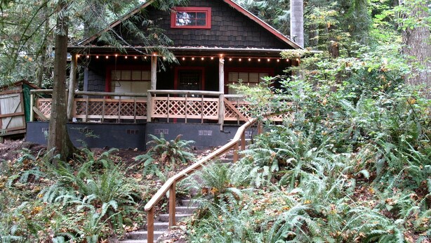 A cabin with a wooden staircase leading to a porch, surrounded by dense ferns and trees. - Secluded Forest Cabin in Rhododendron near Mt Hood Village in Oregon (Rhododendron)