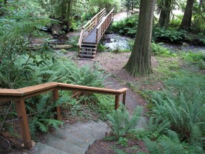 Un escalier en bois mène à un pont qui enjambe un ruisseau dans une zone boisée.