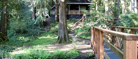 A wooden bridge over a stream leading to a lodge surrounded by forest.