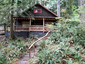Une cabane avec un escalier en bois menant à une véranda, entourée d’une végétation luxuriante composée de fougères et d’arbres.