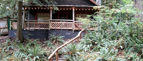 A cabin with a wooden staircase leading to a porch, surrounded by dense ferns and trees.