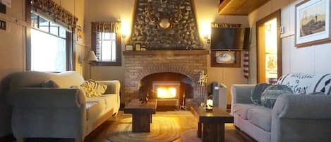 TV, fireplace, DVD player, video library