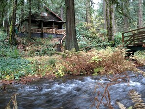 Une cabane dotée d’une terrasse en bois, entourée d’une forêt dense et bordée d’un ruisseau.