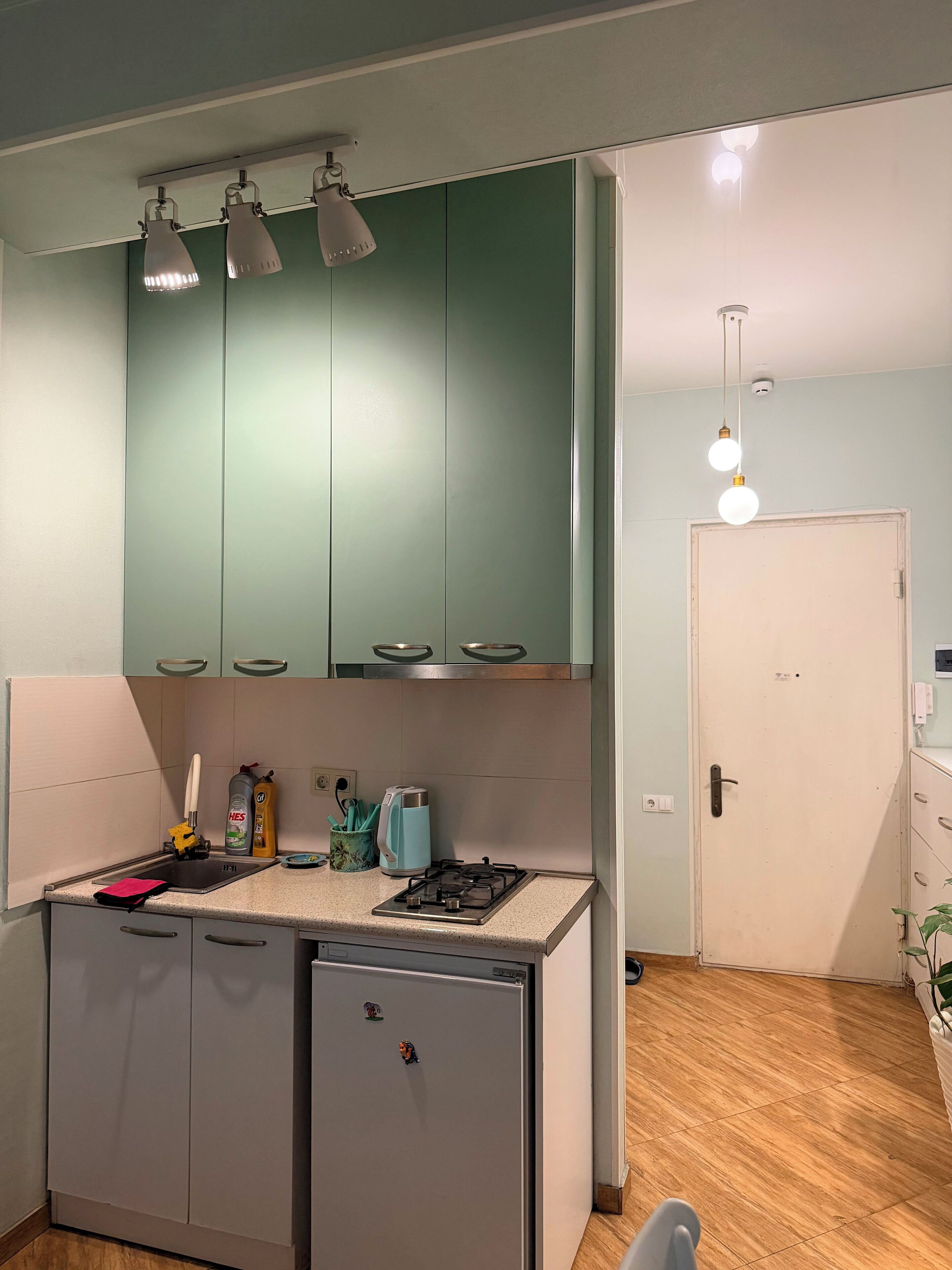 A compact kitchen with a gas stove, a sink, and green cabinets. There is a small refrigerator, a coffee maker, and a plant on the counter.
