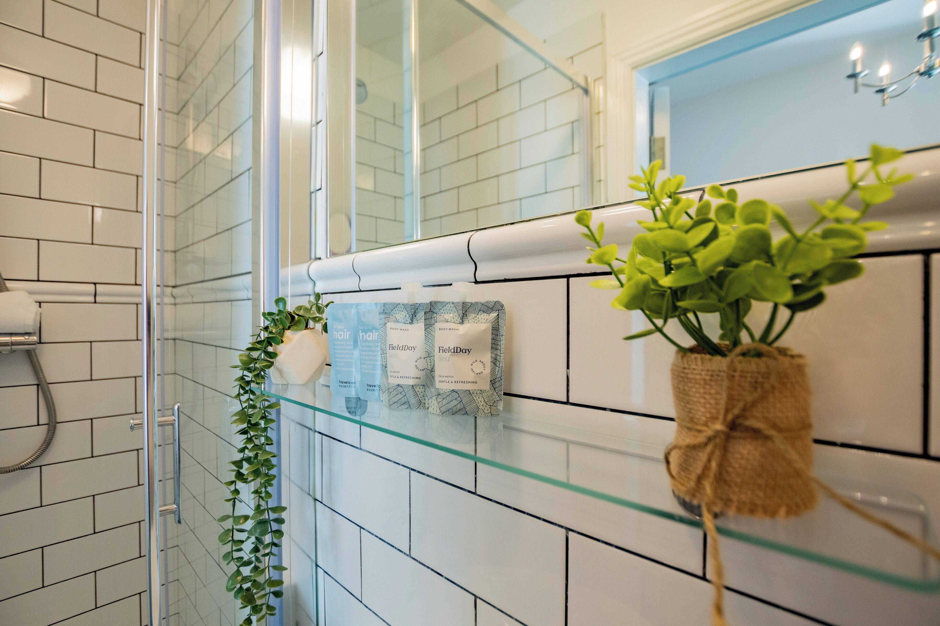 Ducha, secador de pelo, toallas y papel higiénico