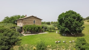 A stone house with a garden, outdoor seating, and a large tree.