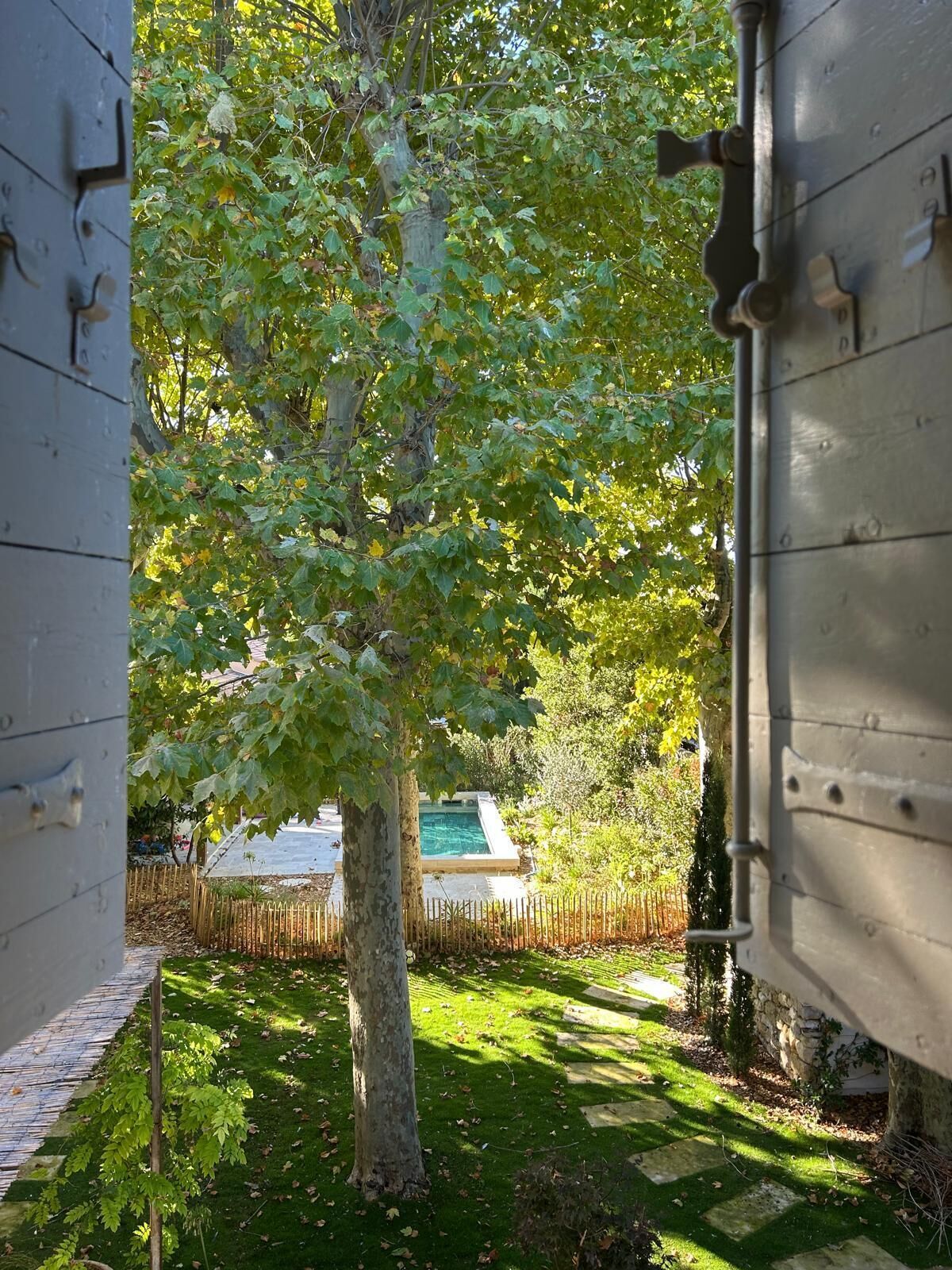 A view through a metal gate into a yard with a tree, a swimming pool, and a stone wall.