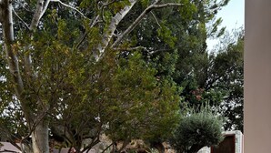 Une cour dallée de pierres, avec un grand pot de fleurs, un arbre et un mur en pierre.