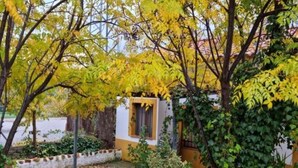 Une cour avec un bâtiment jaune, entourée d’arbres aux feuilles jaunes.