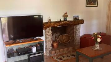 TV, fireplace