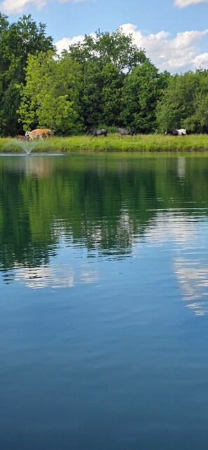 未分类图片，第 5 张，共 51 张，按钮