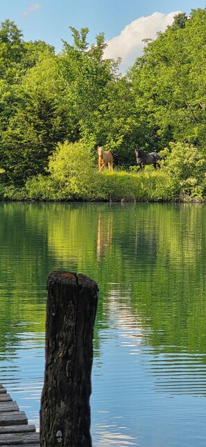 未分类图片，第 3 张，共 51 张，按钮