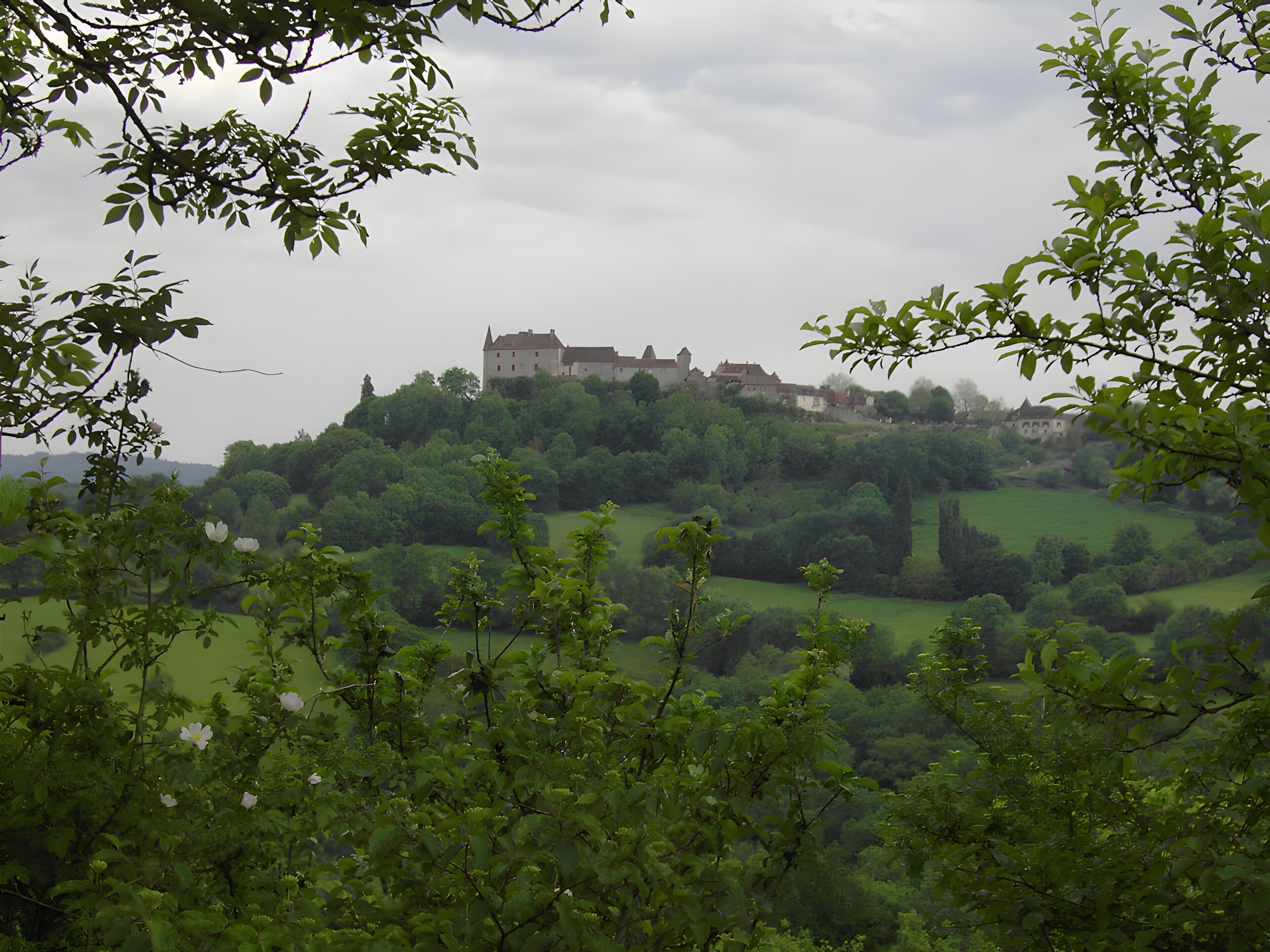 Un château perché sur une colline, entouré de verdure.