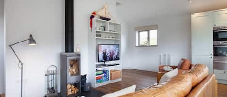 A modern living room with a fireplace, a leather sofa, a television, and a kitchen area.